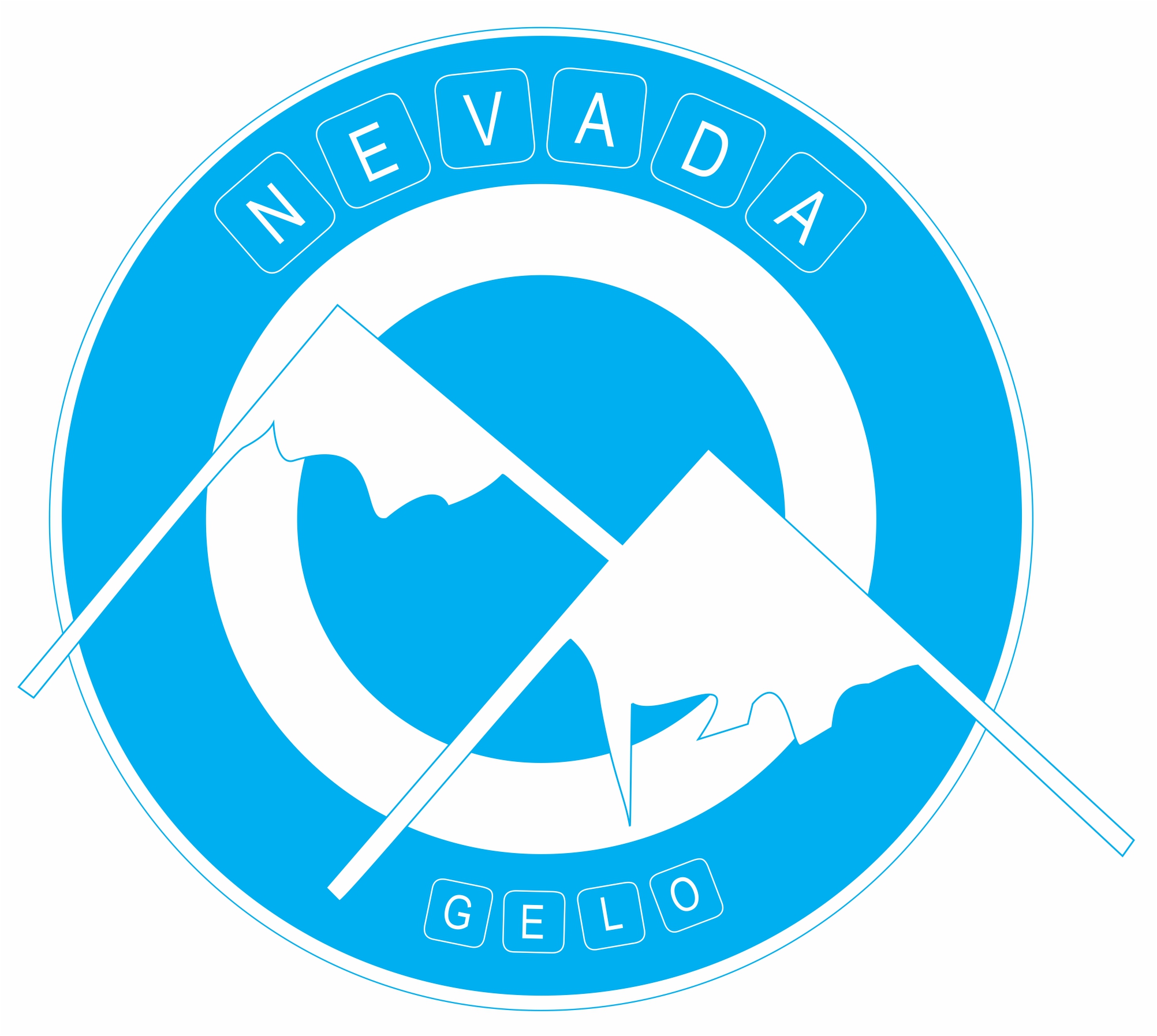 Nevada Indústria e Comércio de Gelo Ltda - Foto 1
